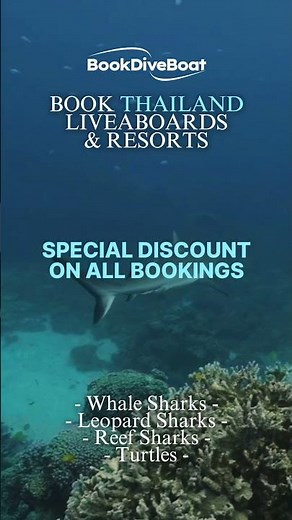Scuba diving in Thailand