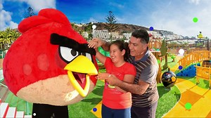 15K views · 17 reactions | Angry Birds Activity Park Gran Canaria on Reels | Facebook
