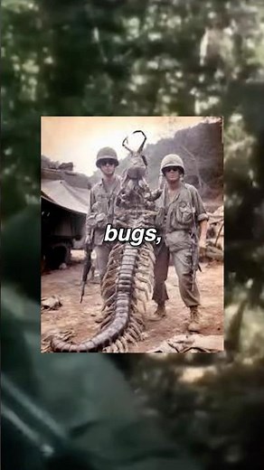 Why the Vietnam War was Horrifying…