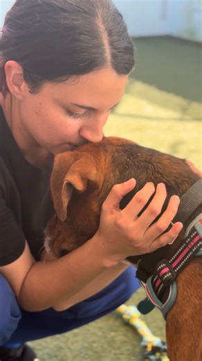 Happy National Shelter Appreciation Week from us at Abandoned Pet Rescue! We thank everyone from our small, dedicated staff to our wonderful and selfless volunteers, fosters, adopters, donors and partners who make this all possible - you make hope happen every day at APR! 🩵🩷 We are Abandoned Pet Rescue, a 501(c)(3) non-profit organization and no-kill animal shelter located in Fort Lauderdale, FL. Our mission is to rescue, rehabilitate and rehome abandoned and neglected cats and dogs, while als