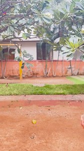 Sridevi lagti hoon!! #sridevi #bhumika #bhumikatiwari #chotisridevi #sridevilagtihoon #90sbollywood #90style #90sfashion #sridevikapoor #retro #oldisgold #sridevifunnydialogue #sridevidance | Bhumika - Child Artist & Dancer