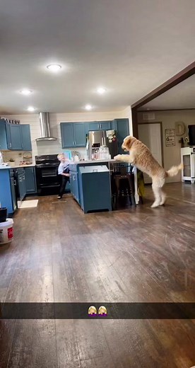 Giant Goldendoodle: A Loving Companion Like No Other!