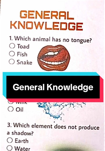 How many questions did you answer correctly? #unitedkingdom #usa #trivia #quiz #brainquiz