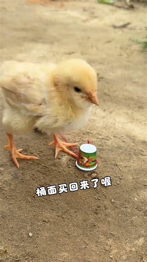 I can't do anything, but I'm the best at getting beaten. #funny