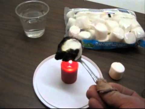 Friendly Chemistry: The Marshmallow Inferno Lab