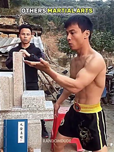 Other martial arts 🤡 Vs me 🗿🇮🇳🥋 #martialarts #india