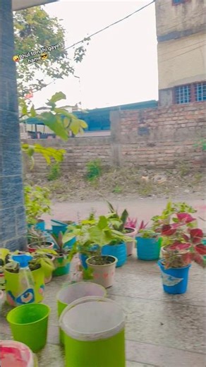 Tere kadem jami pe pade na sathi. #vireltruedialogue