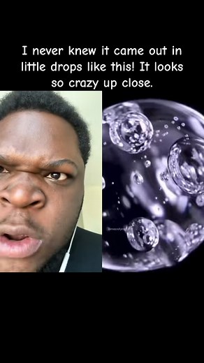 1.7M views · 10K reactions | Gorgeous! Cr. royalkoko007 #reels #micro #photography #zoom #angryreactions #viralreels | Angryreactions | Facebook