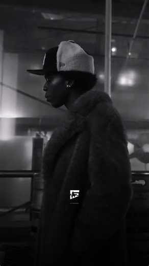 Tortoise Mambo - Seyi Vibez Lyrics Analysis