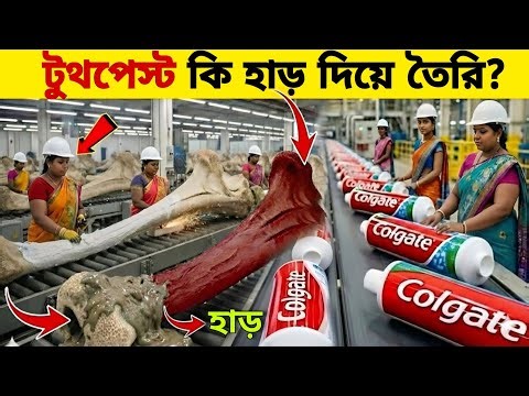 Inside the Toothpaste Factory — From Animal Bones to Toothpaste | Factory Manufacturing Process