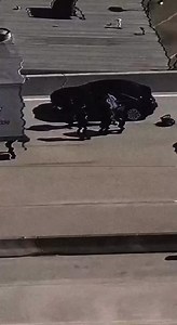 The M*rder of MO3‼️ #fyp #highlights #mo3 #dallas #rip | Kishi Wesby