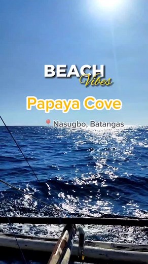 📍Papaya Cove Island Nasugbo, Batangas 🚙 2-3 hours from Manila Things you can do: (day trip) 👉Swimming 👉Fish feeding and snorkeling 👉Cliff diving #papaya #papayacove #papayaislandcove #batangas #activities #wateractivity #7788travels