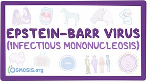 Epstein-Barr virus (Infectious mononucleosis): Video, Causes, & Meaning | Osmosis