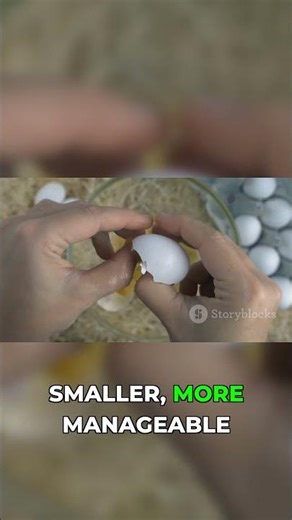 The surprising first step of egg digestion!