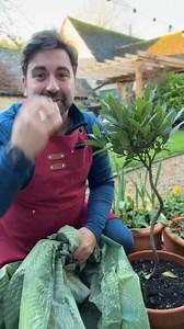 There’s so much you can do in your garden in December and I’m here to show you. Using my gardening tips for beginner gardeners I’ll show you how to plant bare root trees, soft fruits and prep your garden and lawn for frost and winter weather. #gardeningtips #december #planttips | Gardening with Ish