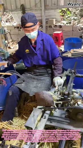 Inside a Bamboo Processing Factory: How Bamboo Becomes Uniform Strips