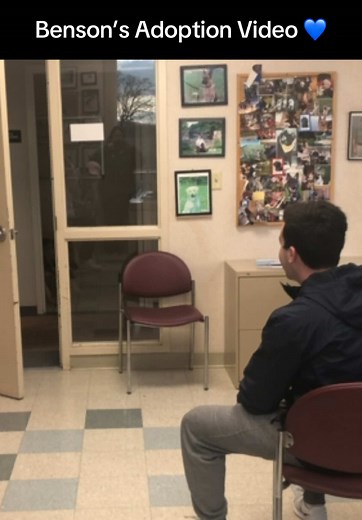 Benson's Heartwarming Adoption Reaction Revealed