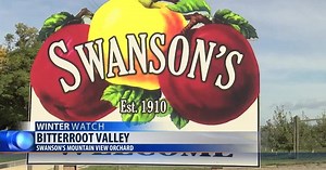 Apple orchards harvesting as fast as they can before the cold air hits