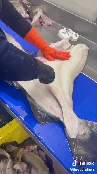 Mastering the Art of Filleting Fish: A Knife Skills Craft Challenge