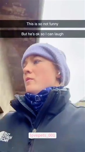 Kevin on Instagram: "Life is better with paws, wagging tails, and endless cuddles 🐾❤️ Tags: #PetLovers #FurryFriends #PawsAndClaws #CutePetsDaily #AnimalLovers #PetsOfInstagram #FluffyVibes #CuddleBuddies #HappyTails"