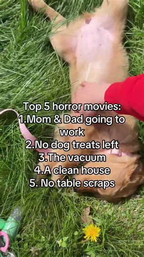 Top 5 Horror Movies: Dog Edition