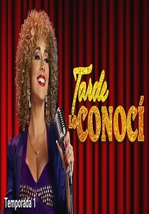 Tarde lo conocí temporada 1 - Ver todos los episodios online
