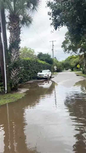 Stunning Beach Walks in Charleston, SC