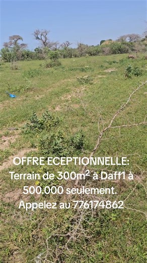 Pro-com on Reels | Facebook