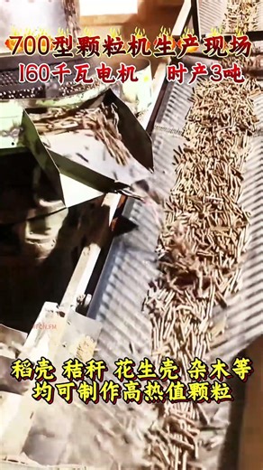 Hourly production capacity 3tons wood biomass pellets machine #fcnfm #pelletmachine