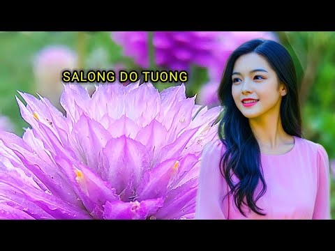 Salong Do Tuong