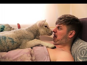 BOUGHT MY BRO A NEW PET