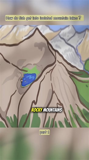 Exploring the Wonders of Environmental Science