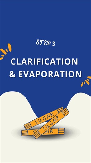 Once the cane juice is extracted, it’s time to clean it up and concentrate it! In this step, the juice is heated and clarified, emoving impurities and leaving behind a clear, golden liquid. Then it heads into evaporators, where most of the water is removed, thickening the juice into a syrup. It’s a crucial step that brings us closer to the sugar crystals you know and love – all from locally grown Aussie cane 🌱💚 Stay tuned for Step 4 – Crystallisation! #SunshineSugar #CaneToCrystal #AustralianS
