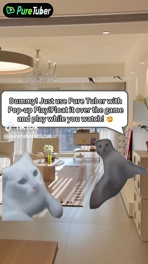 Discover the Features of Pure Tuber App