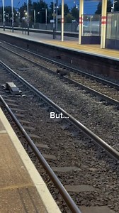 People dump dogs at stations like this all the time 💔 for every evil person there is a kind hearted one #reels #hero #doglove #rescue | Kasnaty Sugar