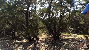 7.4K views · 43 reactions | At 10 #KVUE Defender Erica Proffer shares what she learned about the Barton Creek Greenbelt during her investigation into the deaths and injuries that happened this summer. | KVUE | Facebook