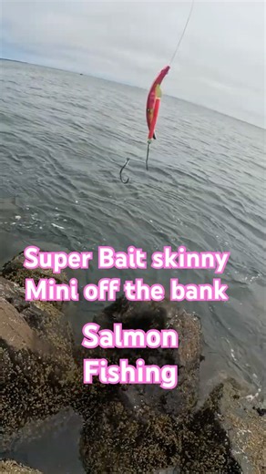 Using Brads Super Bait Skinny Mini Off the bank