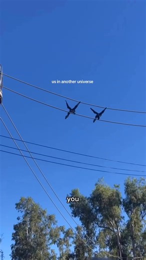 Send this to your person 😊 song: Rule This Town - Sam Nicholson | Sam Nicholson Music