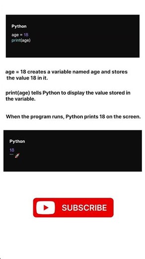 Python Variables Explained in 10 Seconds 🚀 | Guess the Output #Python #Shorts