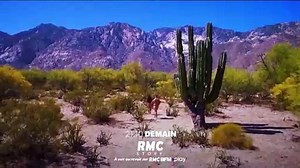 Retour à l'instinct primaire