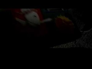 Hit Entertainment Children's Favorites: Spring Into Fun 2005 VHS : Review