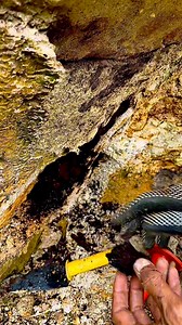 Uncovering fossilized wood buried in a river cliff #fossil #woodworking #river #gemstone | Jonnaidi Jhon Diamond