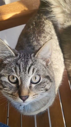 Best of Rex and Ruby 2025! part 1