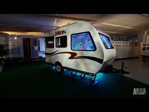 Johnnie Walker RV Aquarium | Tanked