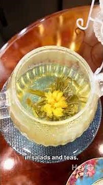 November’s Chrysanthemum: Birth Flower Lore, Colors, and Symbolism