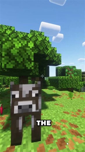 The BEST Minecraft Mods for Survival
