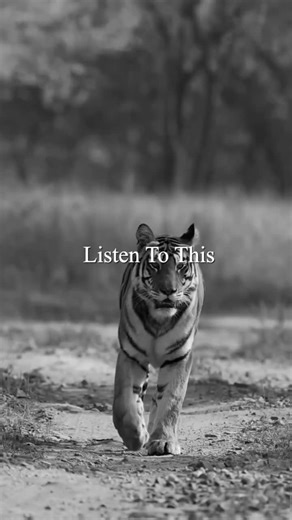 365motivity on TikTok