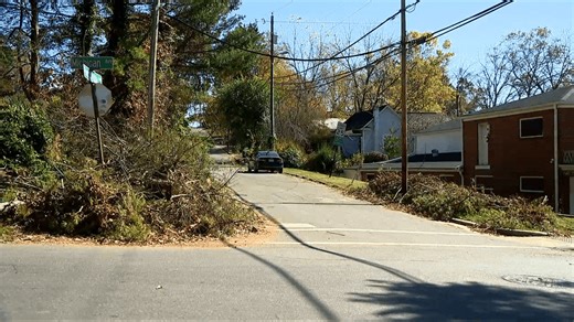 Elevate, rebuild, or sell? Options for Helene-damaged homes