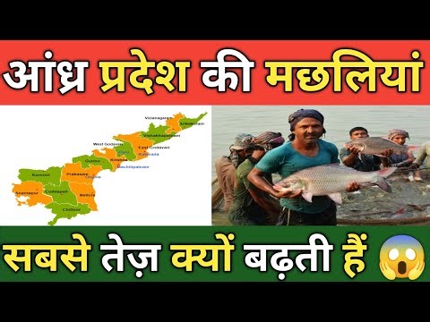 Andhra Fish Farming Technique | 6 Mahine Me 1 Kg Machhli
