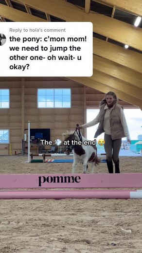 Equestrian Training: Woman and Pony in Action